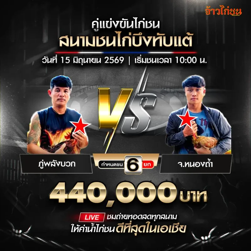 ภู่พลังบวก vs จ.หนองถ้ำ สนามชนไก่บึงทับแต้ 15 มิถุนายน 2026