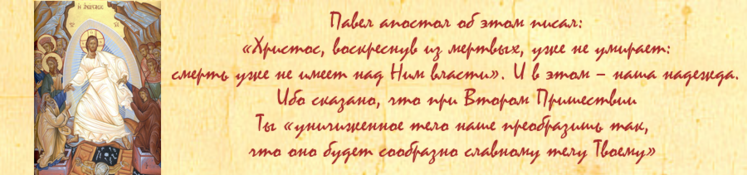 oie-24104452-Q0zr-Fu-YV