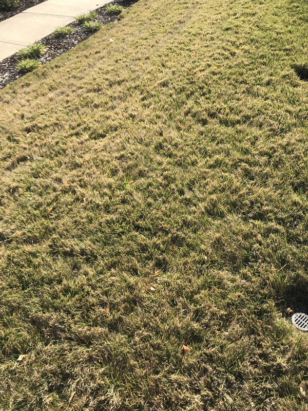 25A51AD9-9041-4F32-B246-FD3A2068A7E7