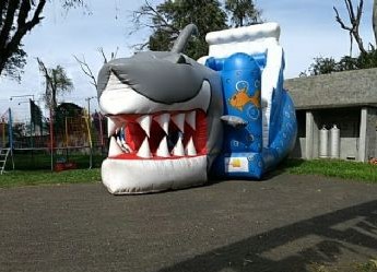 Tobogã Tubarão 2 em 1 - Foto 3