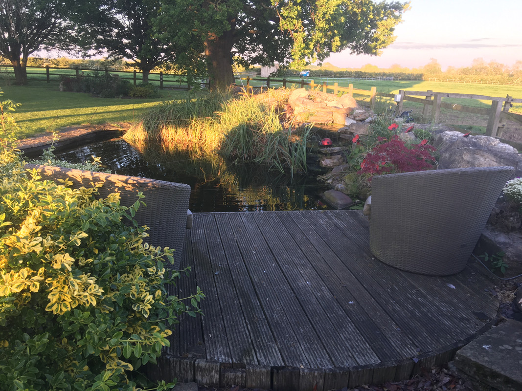 578AE345-7CA1-4466-B97F-FD60AEBF88DA