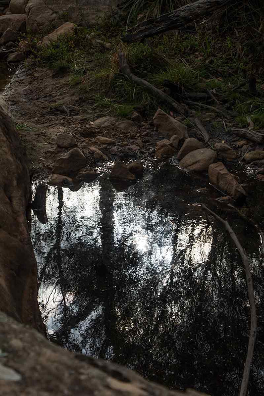 I love reflections