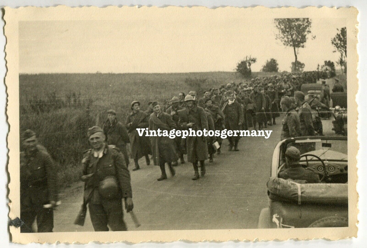 Foto Frankreich gefangene französische Soldaten POW WH PKW Wappen ID