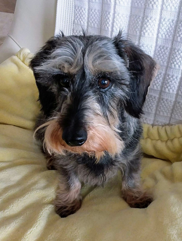 [Image: 20210312-110916-2.jpg]