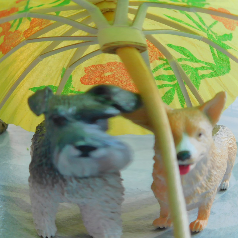 Дачно-Харлинский июнь-июль 2024 460