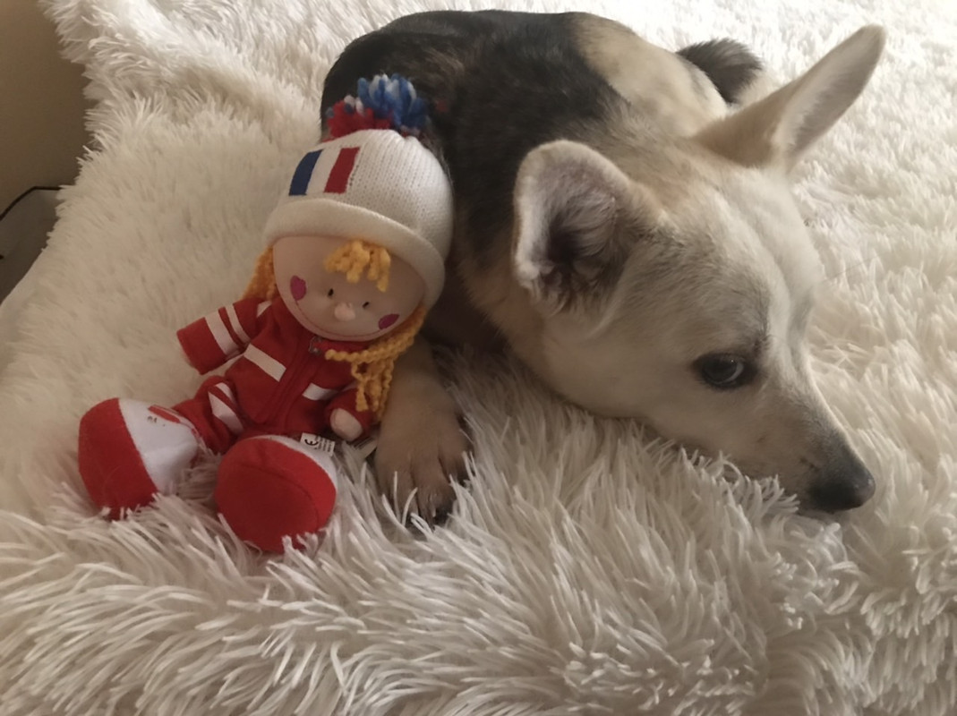 8741832C-472E-401D-98D4-374C437A5EEA