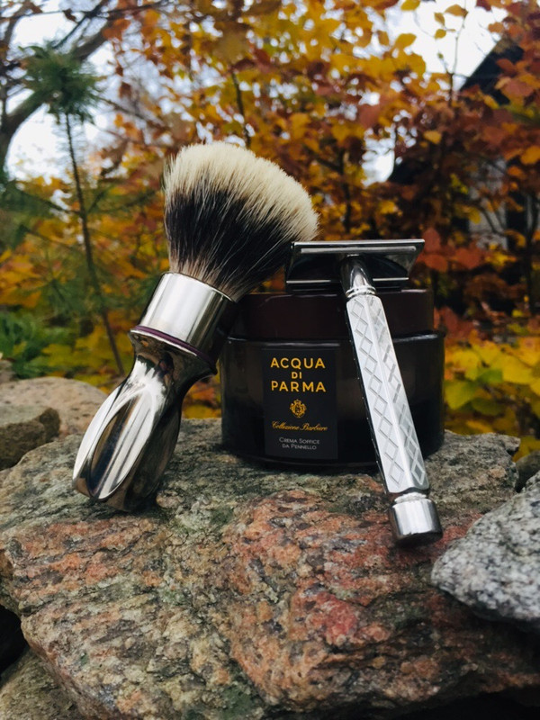 SOTD_20191109.jpg