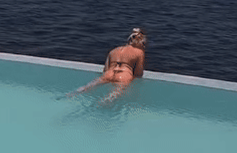 vaca2.gif