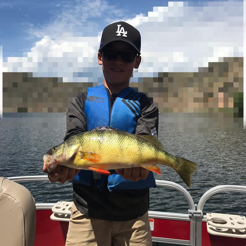giant perch