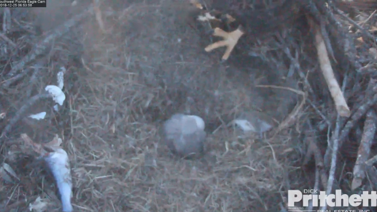 Harriet 20181225-03 copy