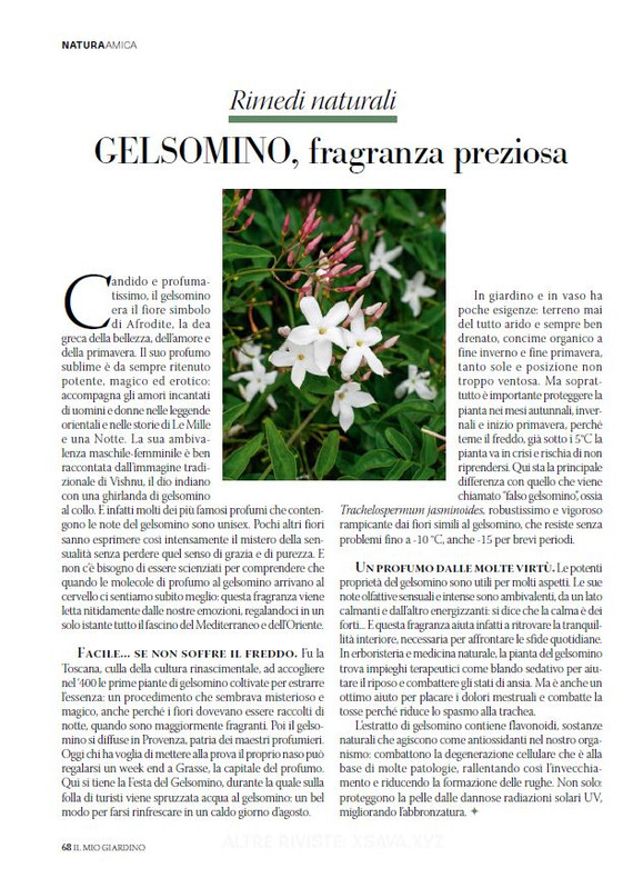 il mio Giar Apr Mag 2026 (9)
