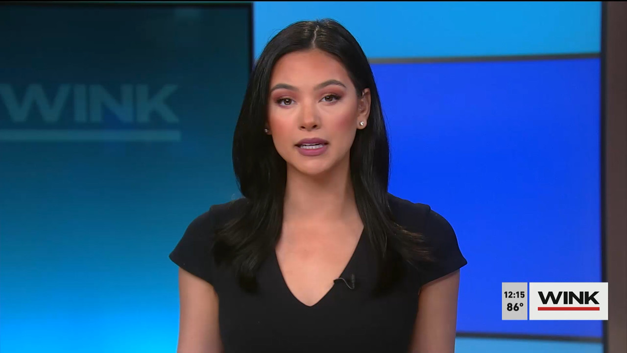 The WINK Noon News 2022_03_11_17_00_00.ts_snapshot_21.31.546