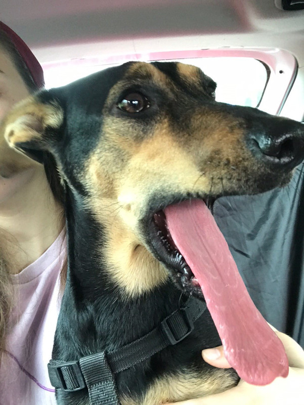 79FF2AA2-3315-4C96-9A13-6E72163B9D4B