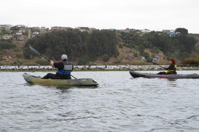 Dos kayaks navegando el río Rapel frente a la orilla