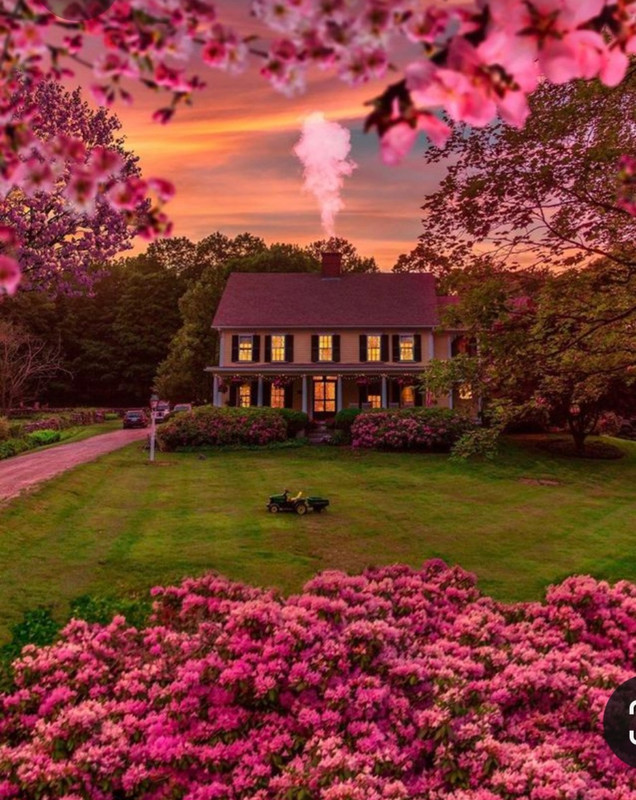 Screenshot_20230402_233125_Pinterest