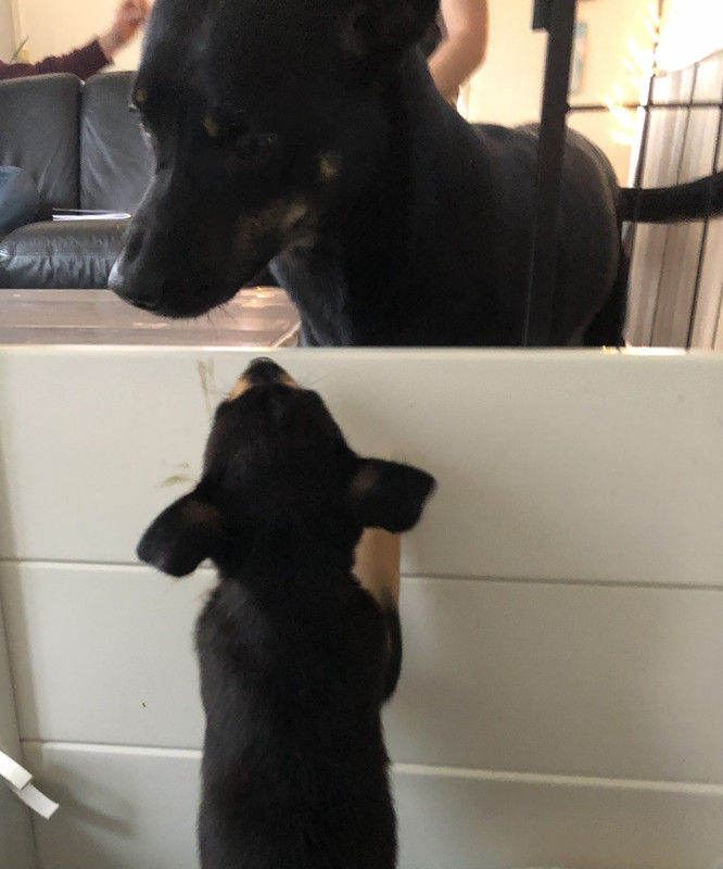 7C5C6570-DB34-4D88-B1A3-963E041C19E3