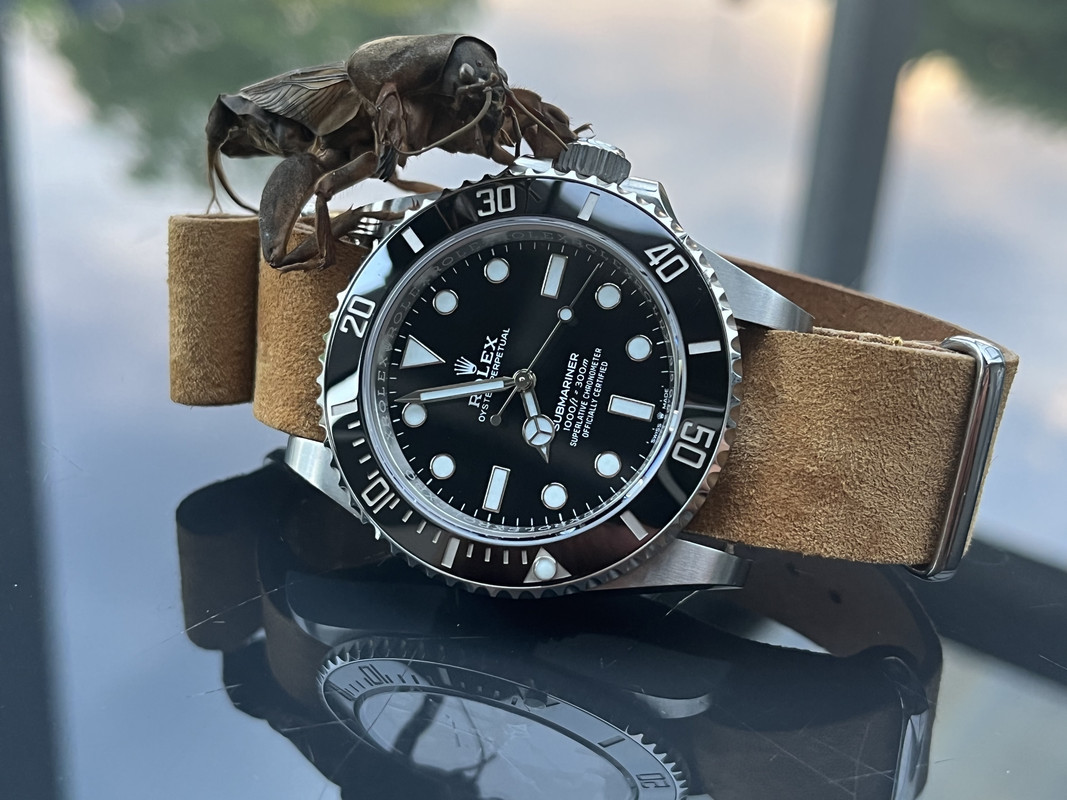 95293EF3-F5B7-4B50-9706-3358197C45A5