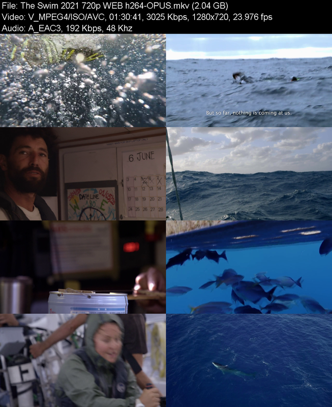 the-swim-2021-720p-web-h264-opus.png