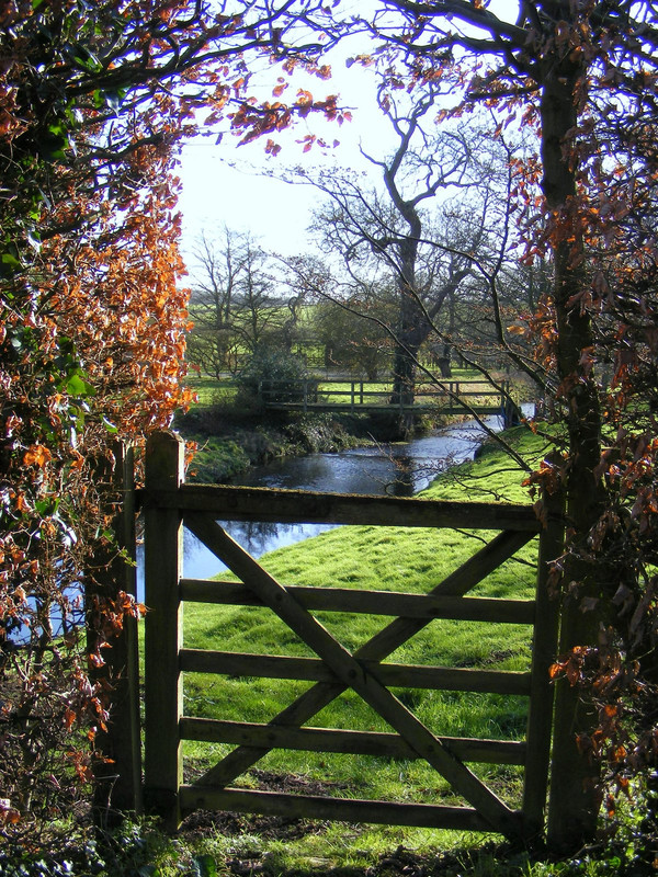 DSCF6481.jpg