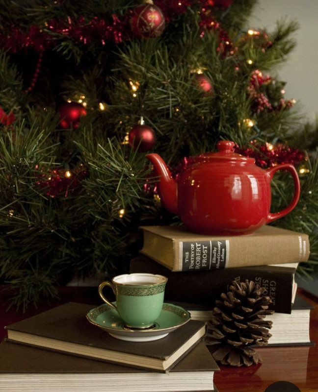 Screenshot_20231109_233321_Pinterest