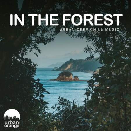 43e381e2 1ba0 4306 beb7 83fe266caf0a - VA - In the Forest: Urban Deep Chill Music (2022)