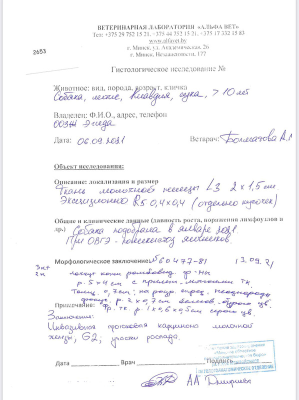 5EB92EB3-1896-49EE-8315-45FEFD806DBB