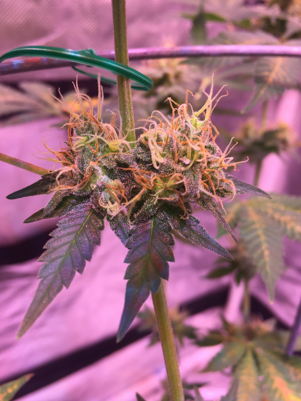 61B8013B-2276-4EB9-939B-DADCEB956783