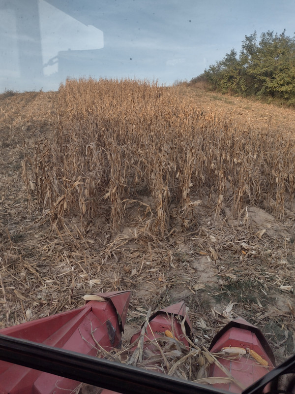IMG-20231013-170843994-HDR.jpg