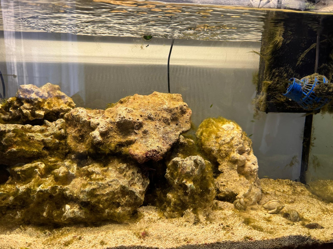 a492b13c 3c73 43ba b0b3 115946360f95