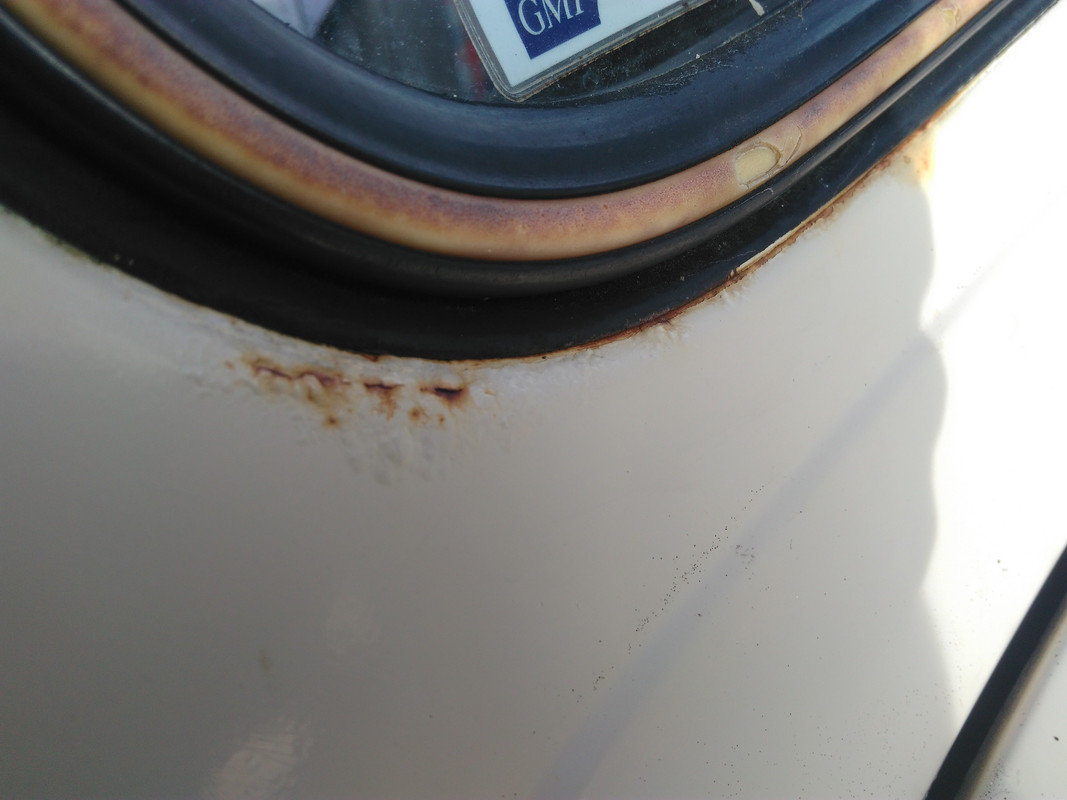 IMG_20170219_160554 - Copie