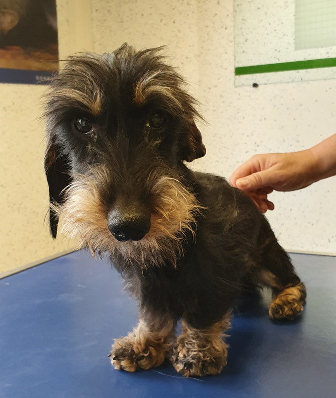 [Image: 20230509-191636.jpg]