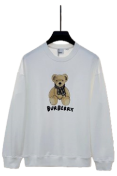 Burberry Hoodie