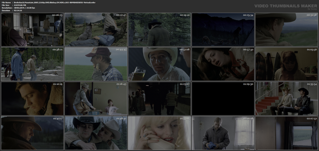 Brokeback.Mountain.2005.2160p.UHD.BluRay.DV.HDR.x265-B0MBARDiERS-Vietsub.mkv