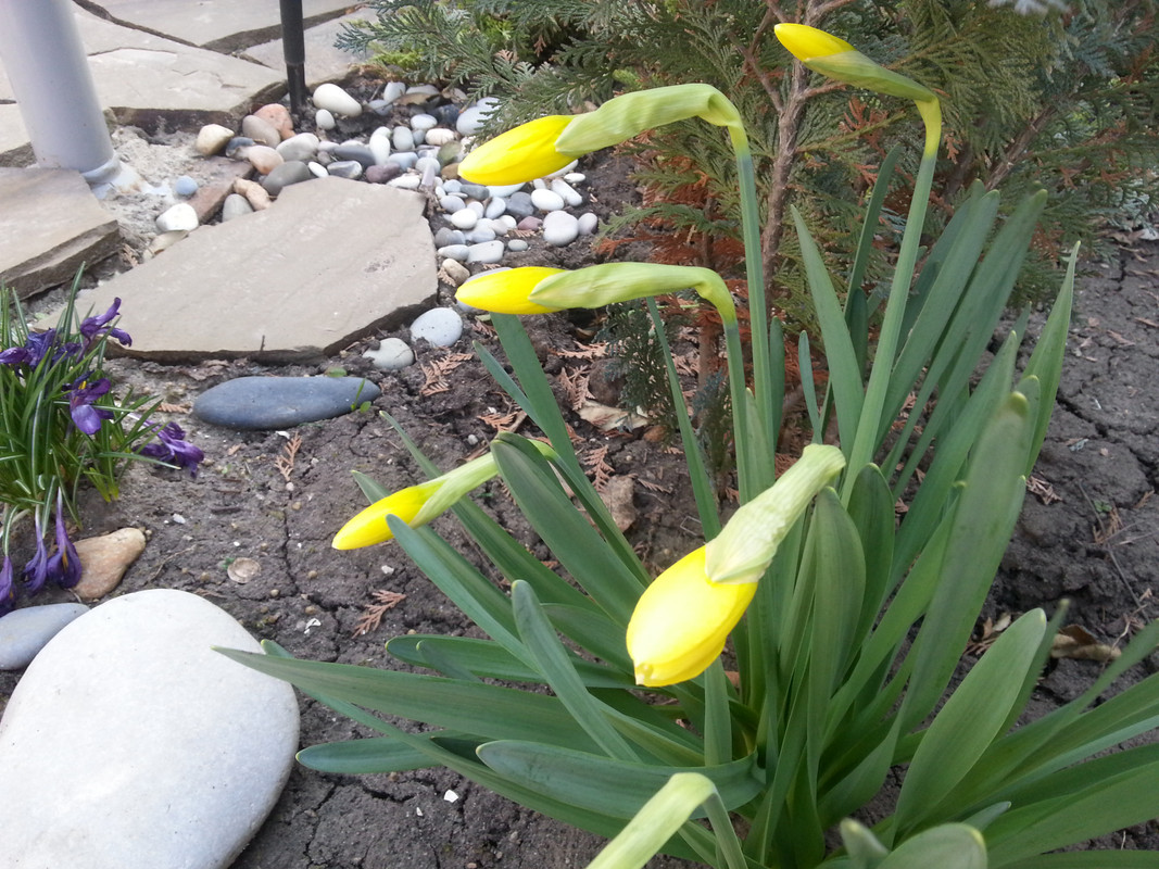 20180412_083744