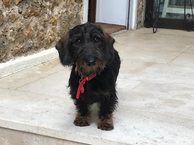 [Image: IMG-3403.jpg]