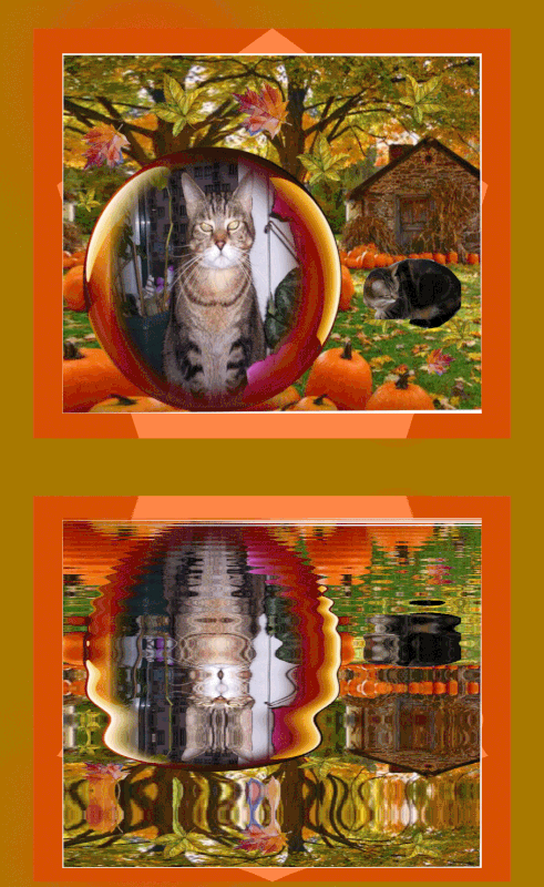 BLACKY-124-MOIS11-GIF