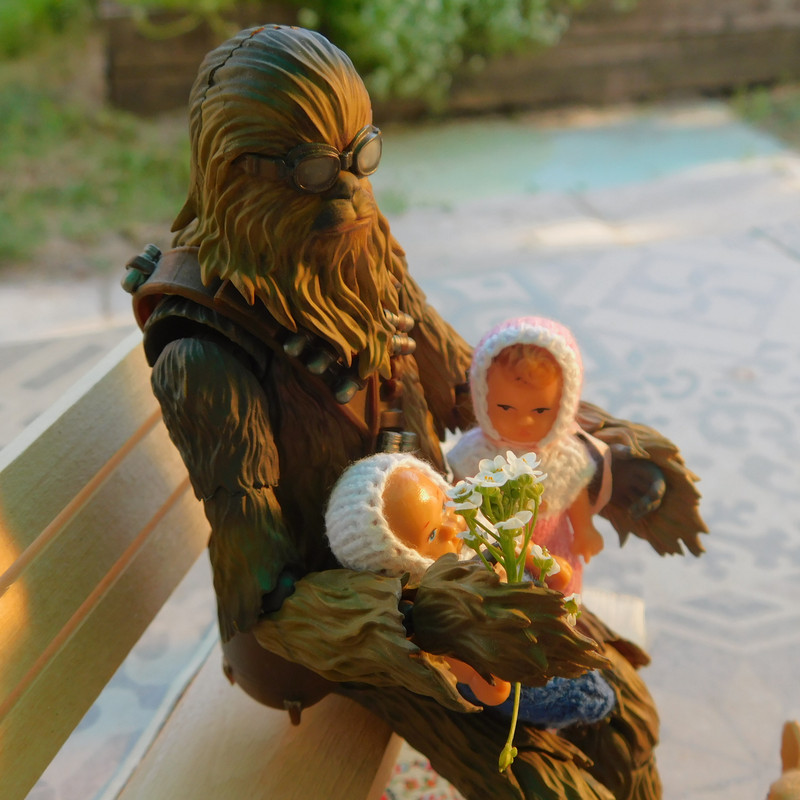 Дачно-Харлинский июнь-июль 2024 245