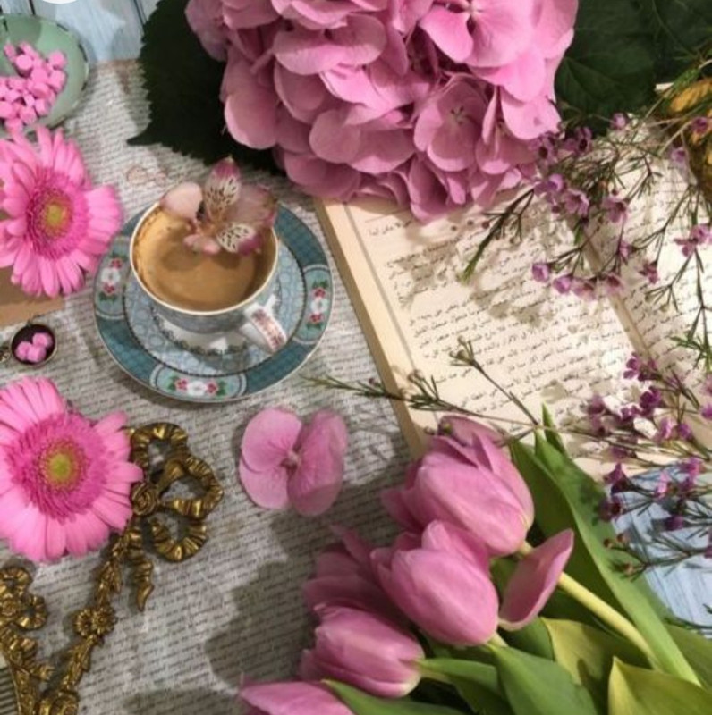 Screenshot_20230129_233630_Chrome