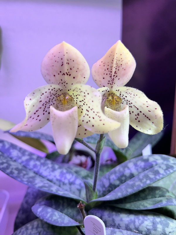 8E16015E-6BCA-4645-A560-D89A7AAD07ED