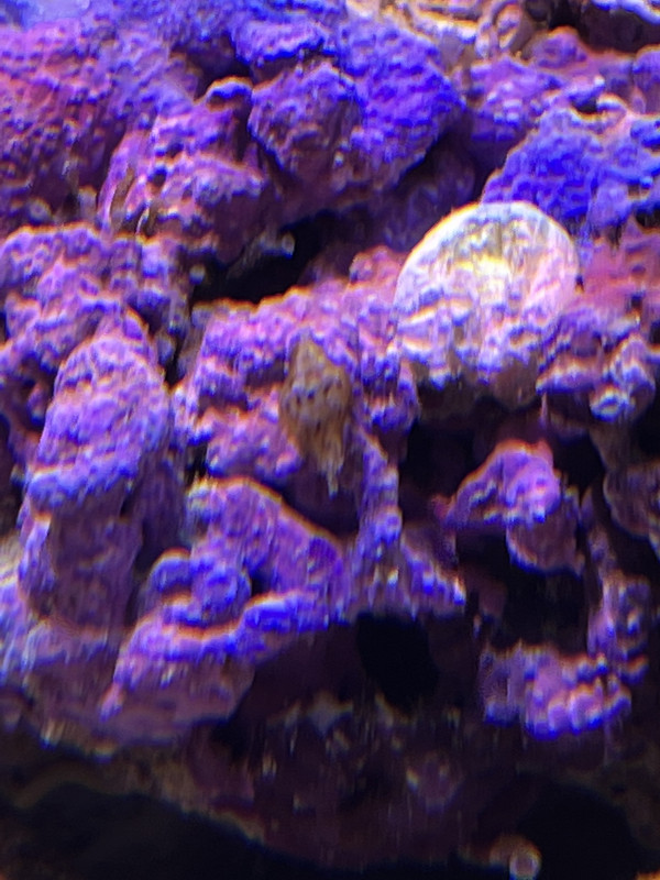 5FF7CD98-8A30-4183-B66B-31FDAA9AC8C2