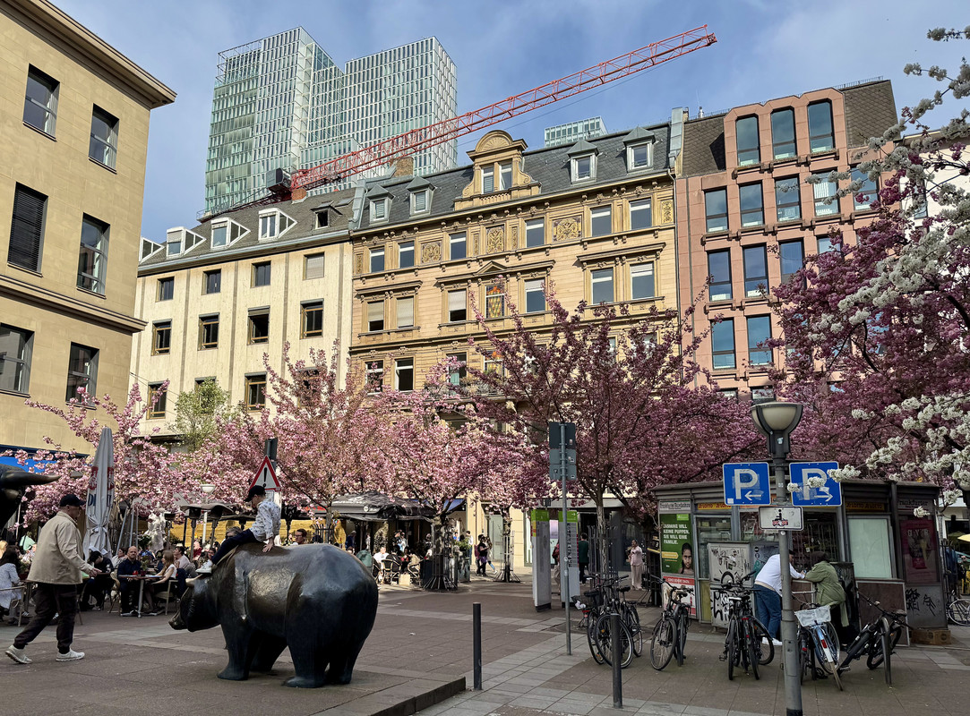 D89DC6F9-B564-4886-AB70-88F3447C99E6_1_201_a