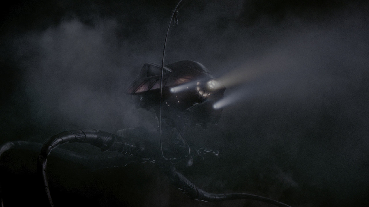 vlcsnap 2026 02 22 02h12m51s231