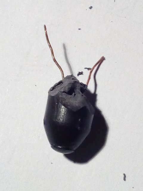 vrh senzora