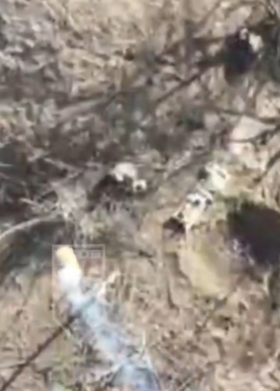 Screenshot_2024-03-05-20-58-18-381_com.twitter.android-edit