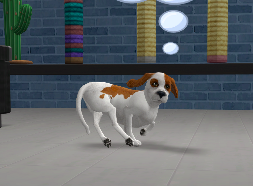 ksnip-20250223-140314