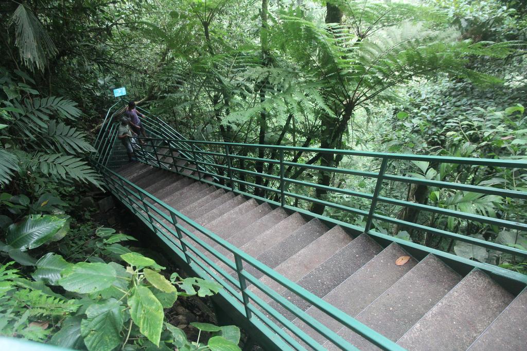 DE TORTUGAS Y PEREZOSOS. COSTA RICA 2019 - Blogs of Costa Rica - DIA 7: ARENAL. CATARATA FORTUNA (15)