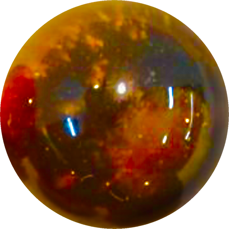 0C0AF7FD-2759-4829-9182-F04C4316C021