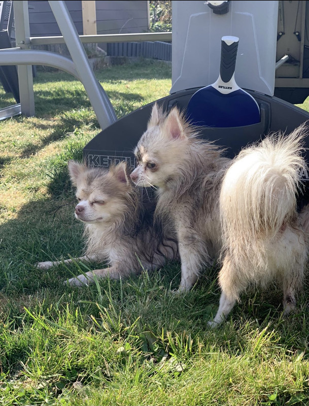 C499C300-C769-4384-8C13-FE1F916A8940