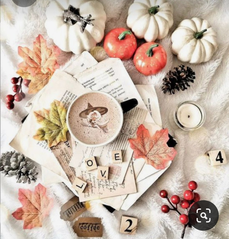 Screenshot_20231016_130621_Pinterest