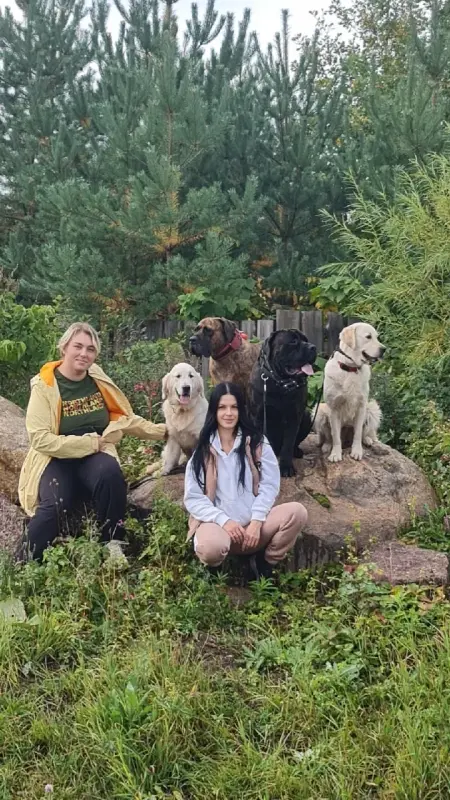 OPDT6U5-R_KIOmyJC7zP9RWNLTLKjzB6RIBe-xw-ii9YIR9syzpkRV1M6PBw008FDGFHhrDXc1eXpPjZd1n9Zd58